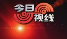爆料今日视线新闻最新,揭秘重大事件背后真相