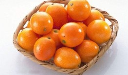 娱乐吃瓜酱橘子甜不甜,一场甜蜜的美食与娱乐碰撞之旅