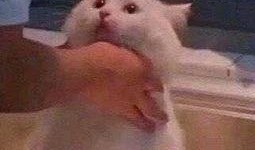 朝阳群众吃瓜网红是谁呀,朝阳群众吃瓜网红背后的故事